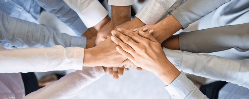 Equipo Profesional FECEL